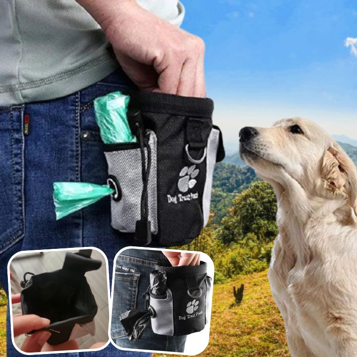Chien qui regarde son maître en attente de récompense avec pochette friandise chien