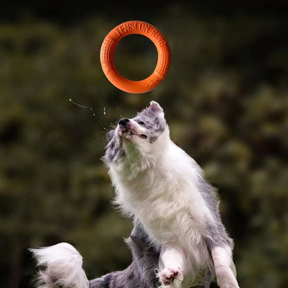 Chien sautant pour attraper un jouet pour chien orange
