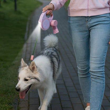 Chien visible dans la pénombre grâce à la laisse enrouleur LED