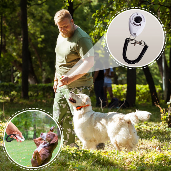 clicker chien associer un clique à une récompense