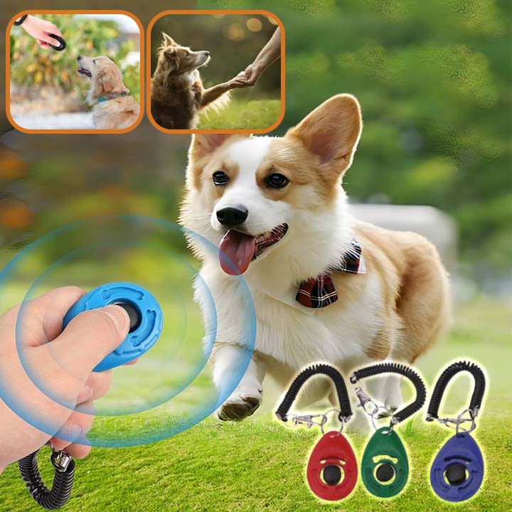 clicker chien disponible en différentes couleurs ludiques