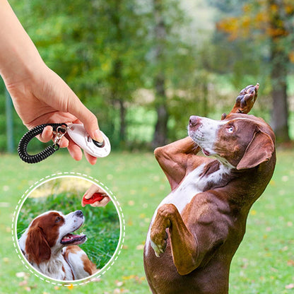 clicker chien pour perfectionner ses apprentissages canins