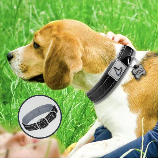 Collier chien avec boucle en métal ultra résistante