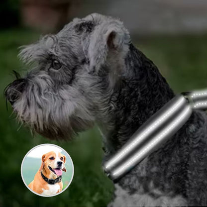 Collier chien avec coutures réfléchissantes pour sécurité nocturne
