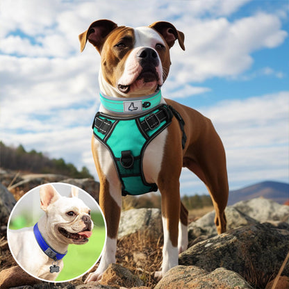 Collier chien doux et respirant pour promenades sans irritation