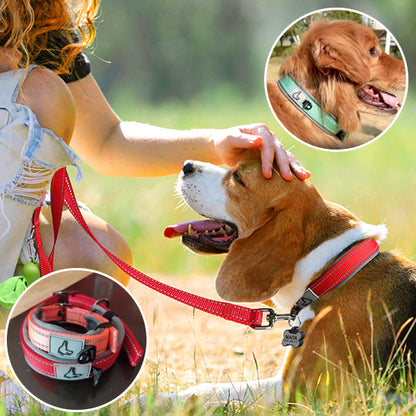 Collier chien pour construire des souvenirs heureux ensemble