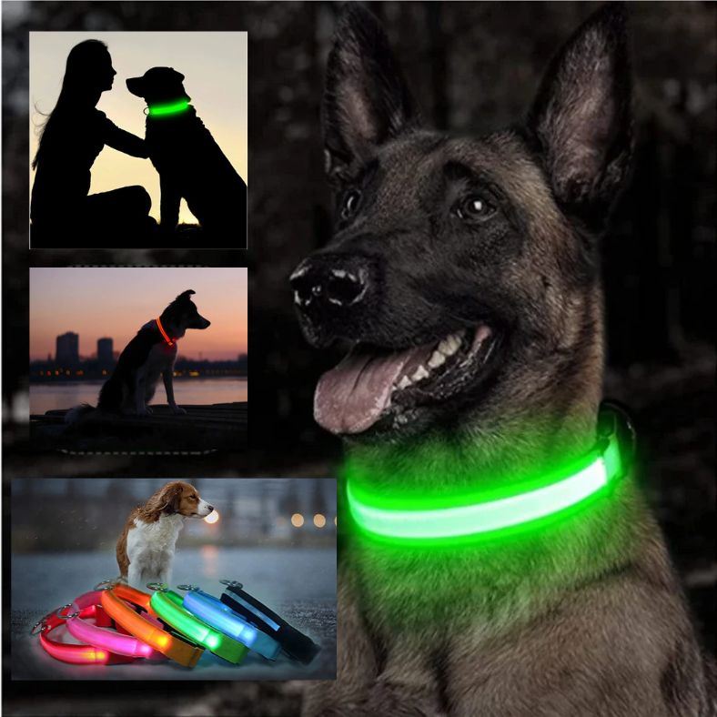 collier lumineux pour chien en mode clignotant pour une meilleure visibilite nocturne
