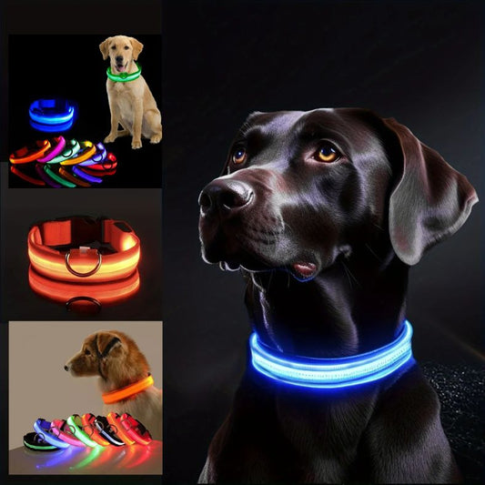 Collier lumineux pour chien | GlowSparkCollar™ - Annie - Mo