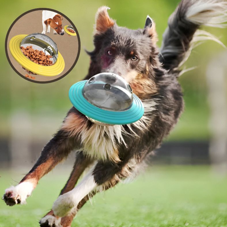 Distributeur de croquettes chien | UFO'croq ™