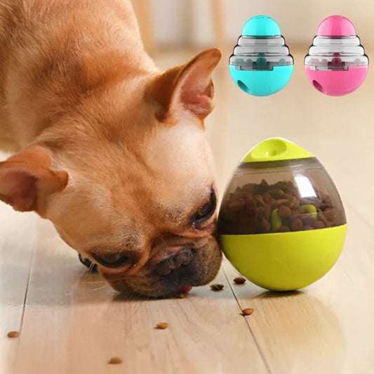 Distributeur de croquettes pour chien | Ball'O'Miam™ - Annie - Mo