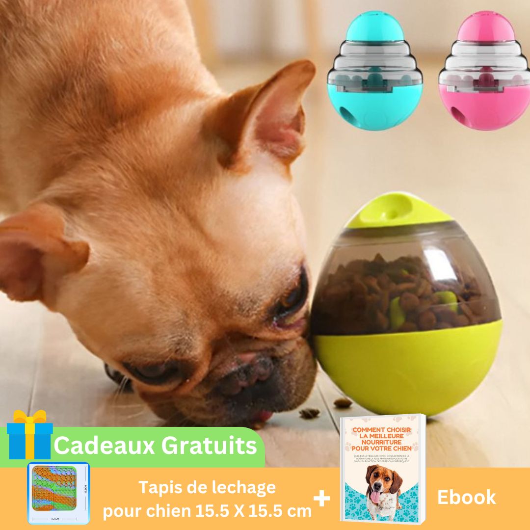 Distributeur de croquettes pour chien | Ball'O'Miam™