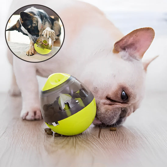 Distributeur de croquettes pour chien | Ball'O'Miam™