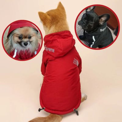 Fermeture ajustable et coupe ergonomique du manteau chien