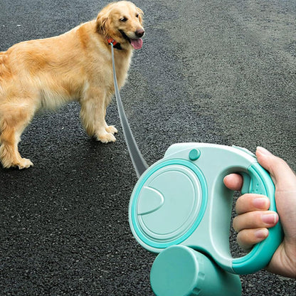 Golden Retriever attaché à une laisse enrouleur pendant la promenade
