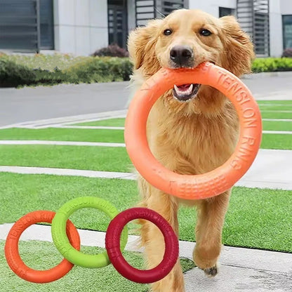Golden retriever avec jouet pour chien en anneau, 4 couleurs disponibles