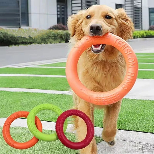 Golden retriever avec jouet pour chien en anneau, 4 couleurs disponibles