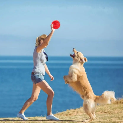 Golden retriever bondit pour attraper sa balle pour chien rouge