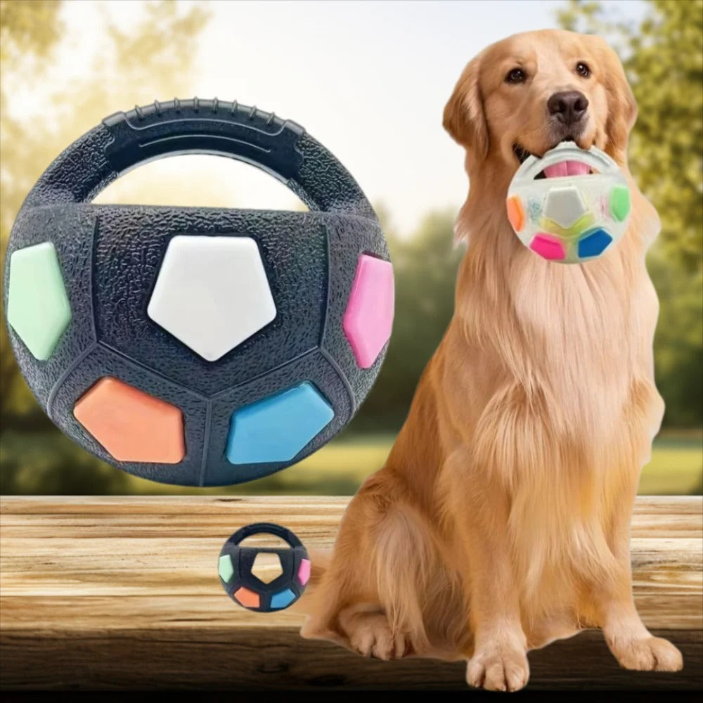 Golden Retriever fier de sa balle pour chien colorée et robuste