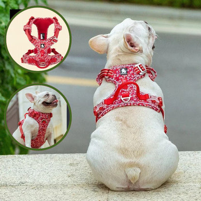 Harnais anti traction chien ajusté pour confort optimal
