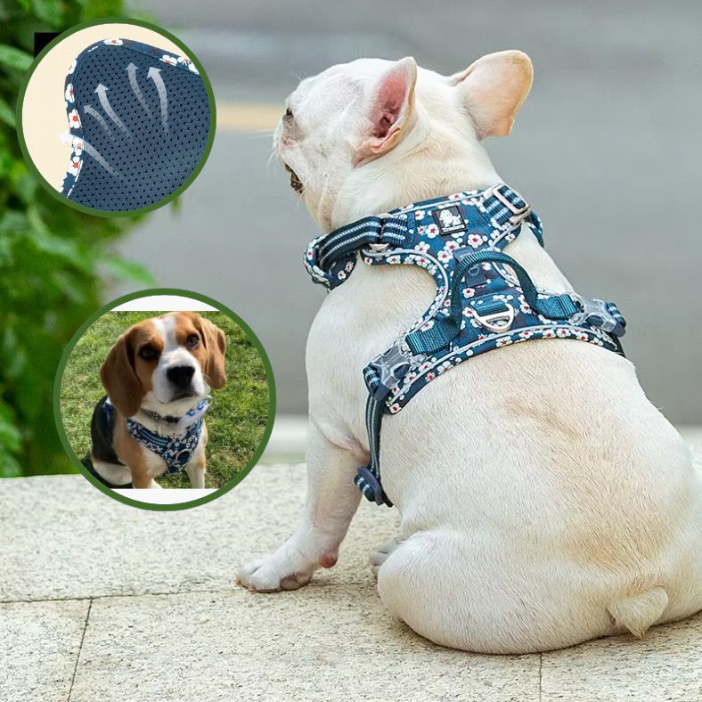 Harnais anti traction chien léger et respirant pour promenades
