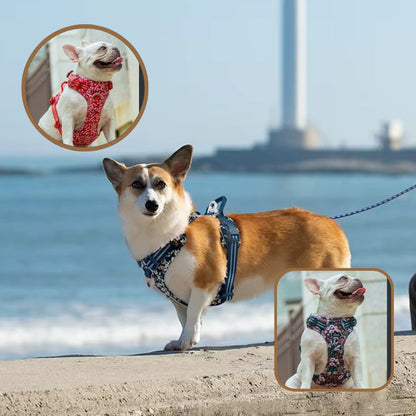 Harnais anti traction chien offrant maintien et sécurité renforcés
