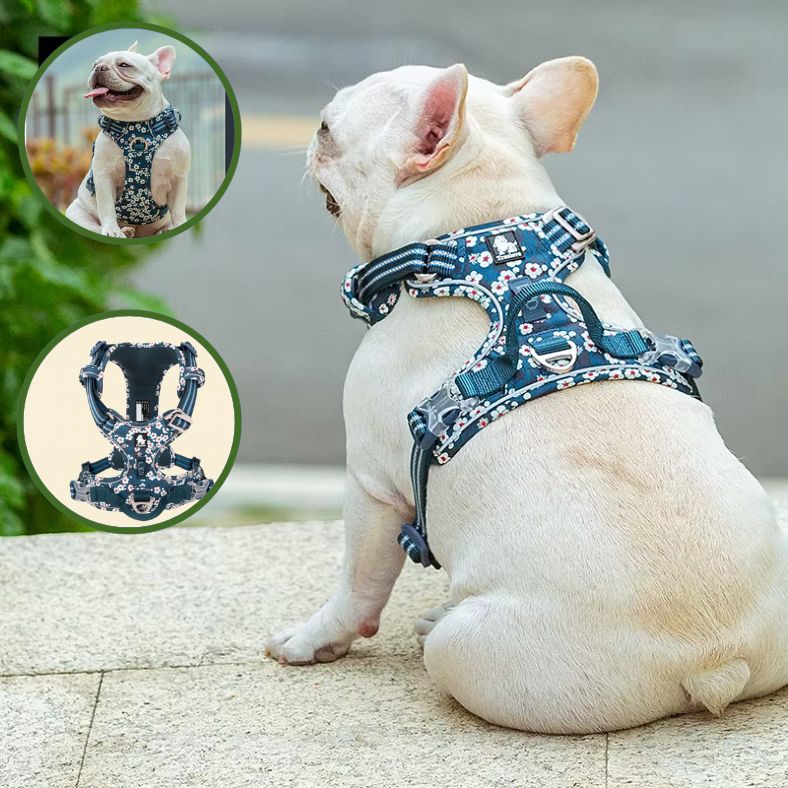 Harnais anti traction chien robuste et ergonomique pour sortie quotidienne