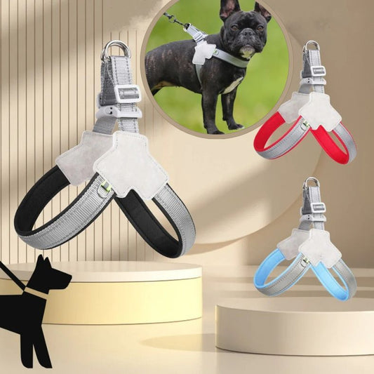 harnais anti traction pour chien disponible en plusieurs couleurs élégantes