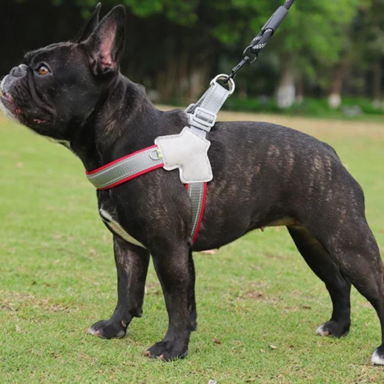 harnais anti traction pour chien rouge pour promenade confortable et sécurisée