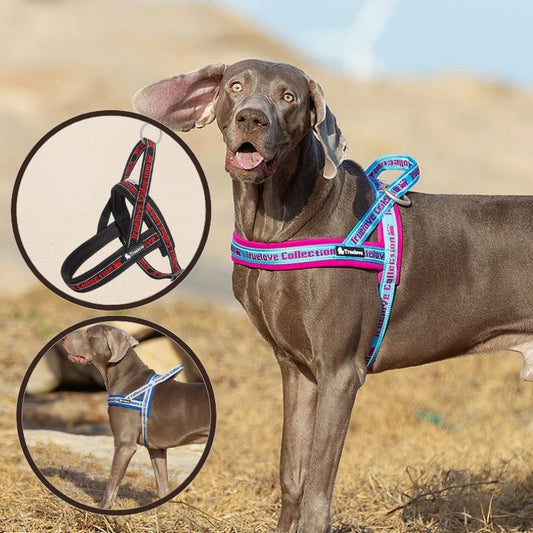Harnais anti traction pour chien en truelove décliné en plusieurs couleurs et tailles