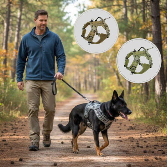 harnais chien disponible en trois couleurs