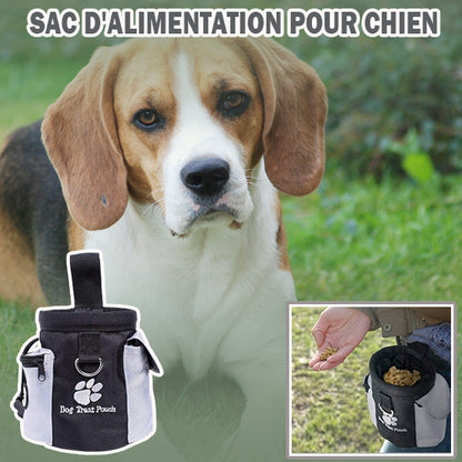 Interaction positive entre chien et maître avec pochette friandise chien