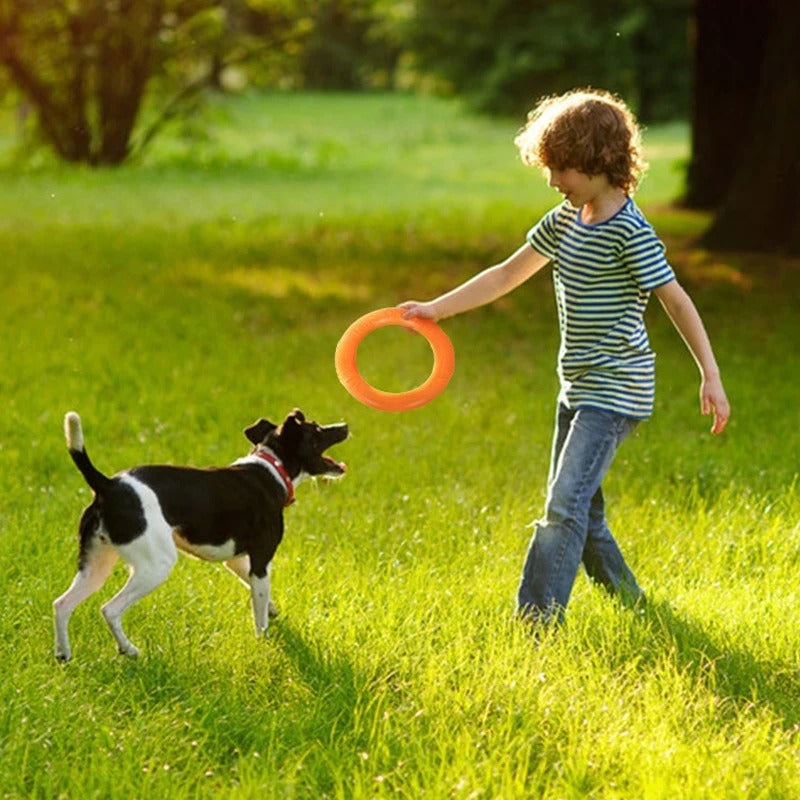 Jeune garçon jouant avec son chien et un jouet pour chien