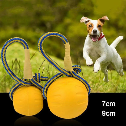 Jouet pour chien balle avec corde, chien courant en arrière plan
