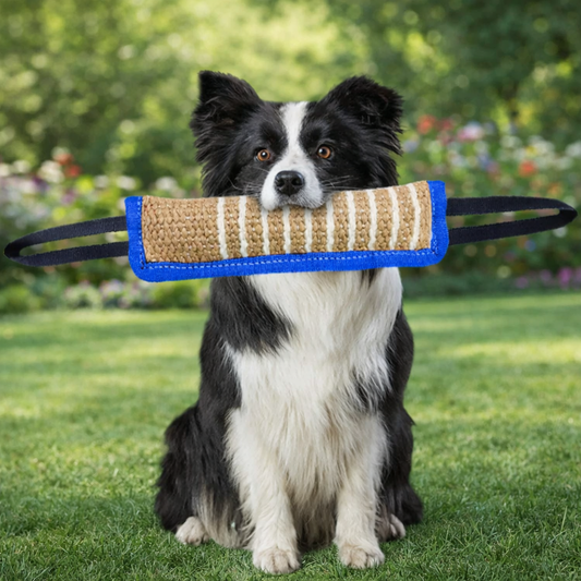 jouet pour chien interactif, doux pour les dents