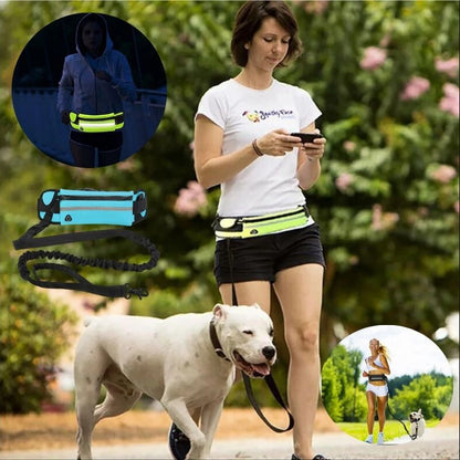 laisse chien main libre idéale pour maîtres actifs cherchant plus de liberté