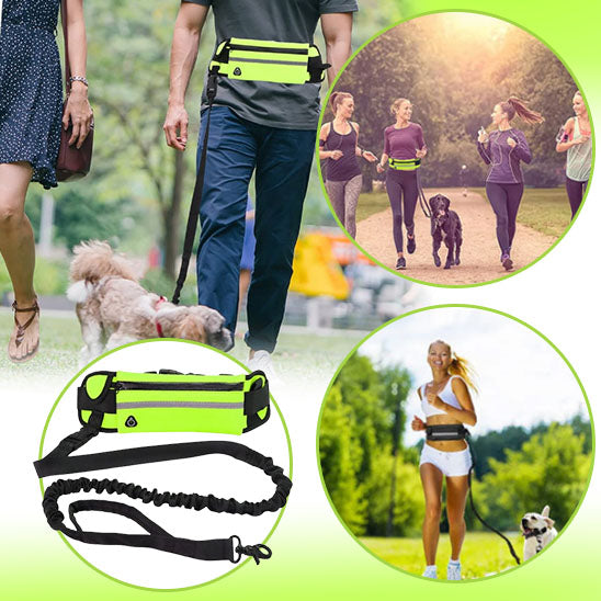 laisse chien main libre offrant plus d’autonomie pour les balades actives