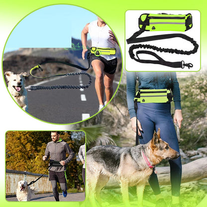 laisse chien main libre polyvalente avec ceinture ajustable et poignées intégrées