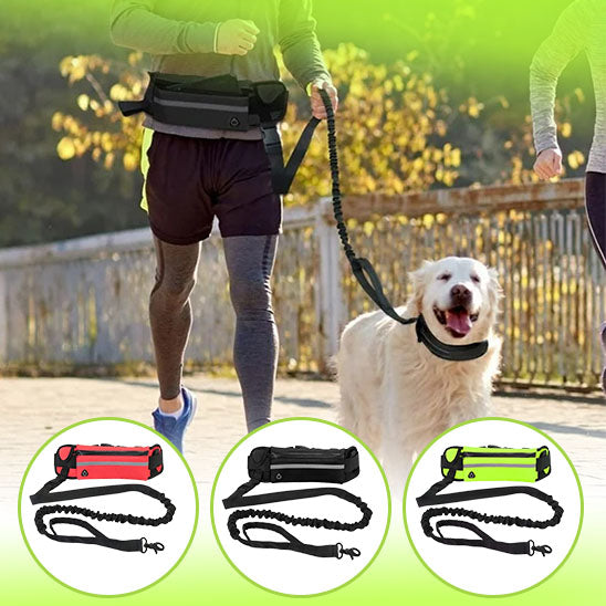 laisse chien main libre pour promenade en toute sécurité et confort