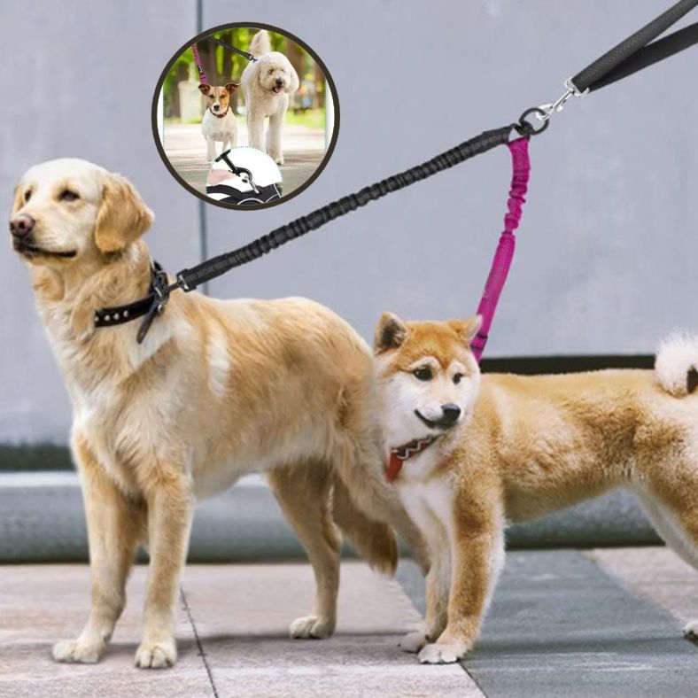 Laisse double pour chien ajustable pour deux tailles différentes
