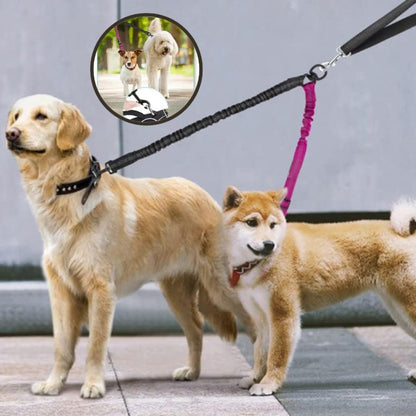 Laisse double pour chien ajustable pour deux tailles différentes