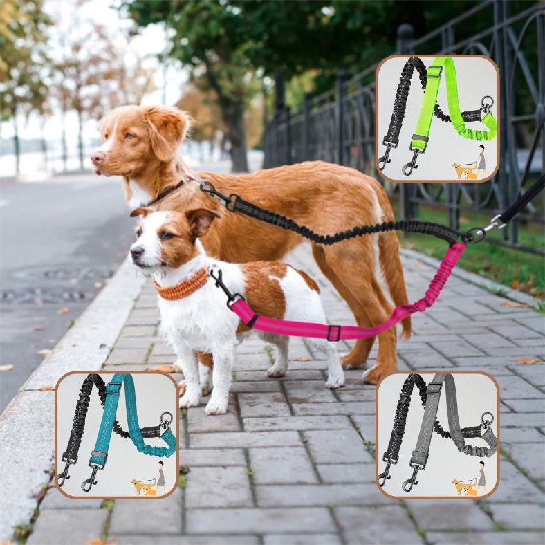 Laisse double pour chien disponible en plusieurs couleurs