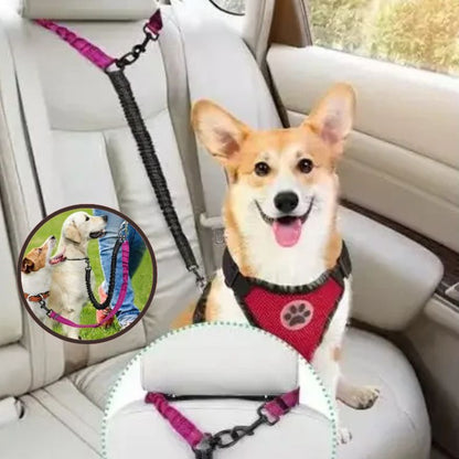 Laisse double pour chien sécurité renforcée dans la voiture