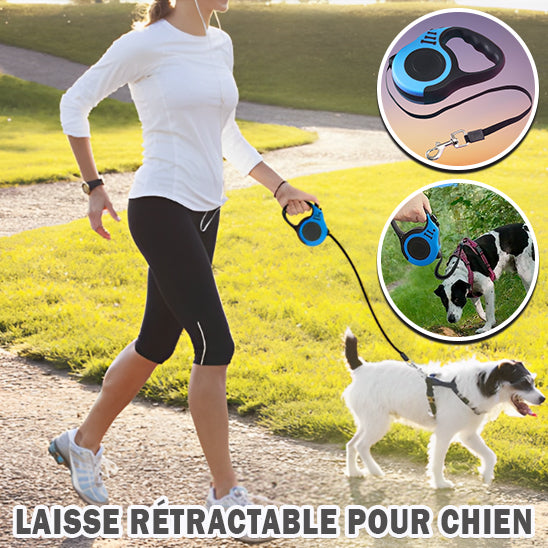 laisse enrouleur avec poignee ergonomique et prise en main confortable
