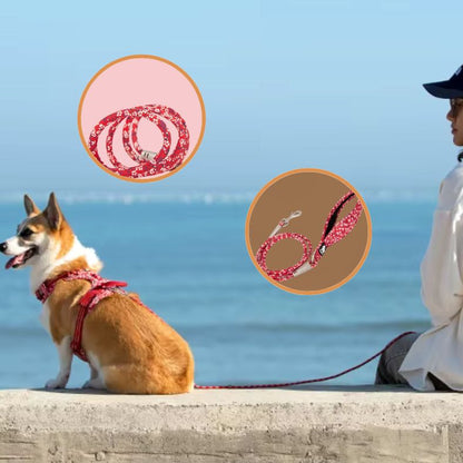 Laisse pour chien en coton doux et durable
