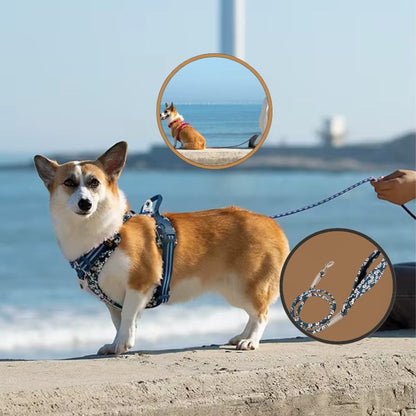 Laisse pour chien facile à nettoyer et à entretenir