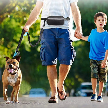 Laisse pour chien main libre utilisée lors d’une promenade familiale détendue