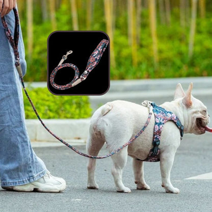Laisse pour chien résistante et confortable pour la main