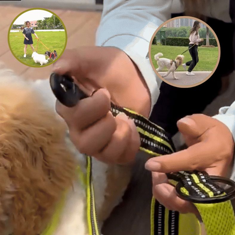 Laisse pour chien | Truelove FreeStride - Annie - Mo