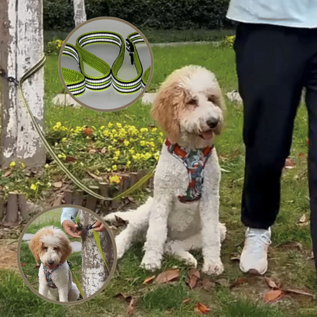 Laisse pour chien | Truelove FreeStride - Annie - Mo