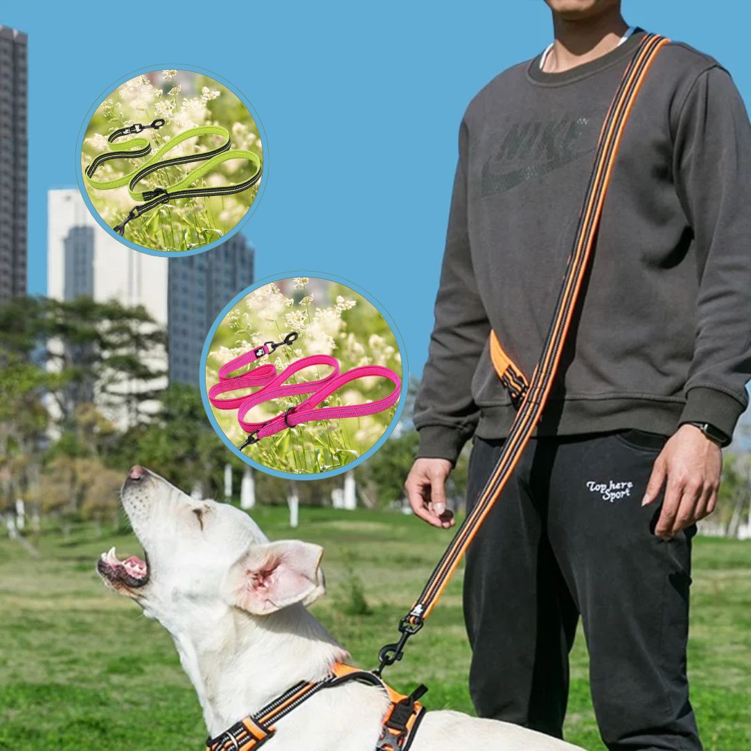 Laisse pour chien | Truelove FreeStride - Annie - Mo